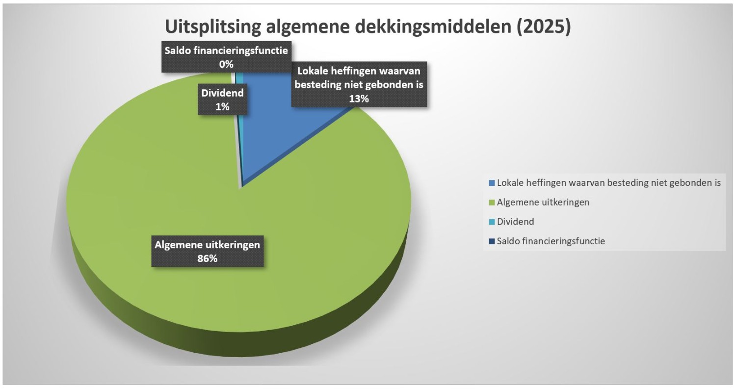 Grafische uitspitsing van algemene dekkingsmiddelen (2025)